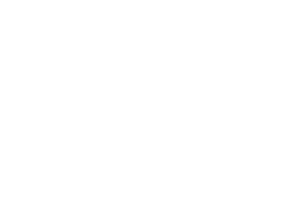 Viral-Element-Logo-White.png